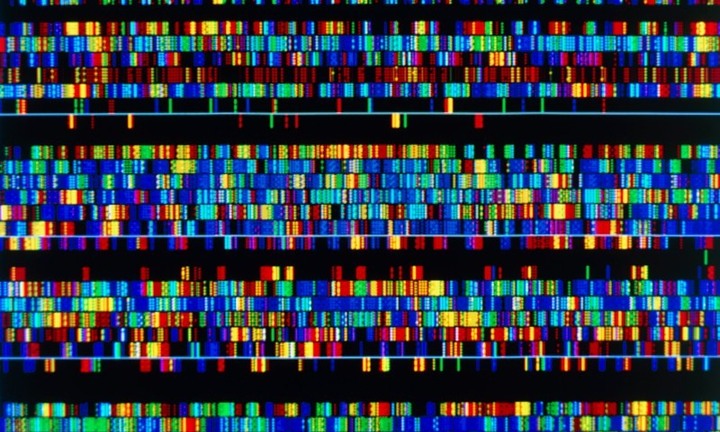 Các nhà khoa học Mỹ công bố bộ gene người hoàn chỉnh đầu tiên trên thế giới