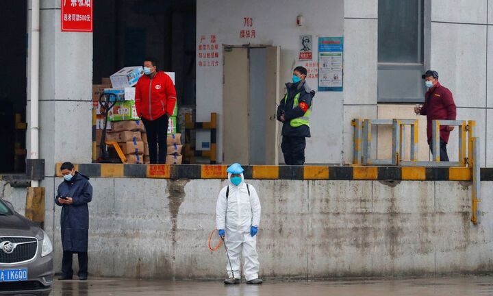 Trung Quốc phát hiện virus gây bệnh tả trên người và rùa ở Vũ Hán