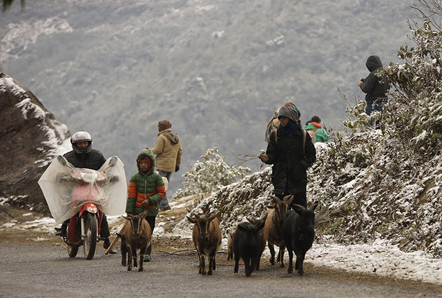 Miền Bắc sắp chuyển rét, nhiệt độ tại Hà Nội có thể xuống dưới 15 độ C