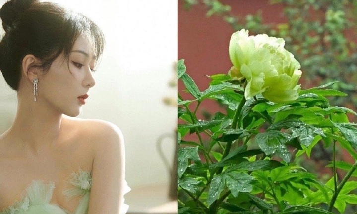 Dương Tử đẹp 'nghiêng nước nghiêng thành' trong bộ ảnh mới, khoe trọn khí chất vạn người mê