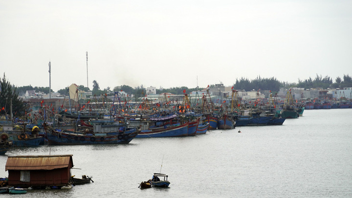 Bắt tạm giam giám đốc trung tâm đăng kiểm tàu cá tại Bà Rịa - Vũng Tàu