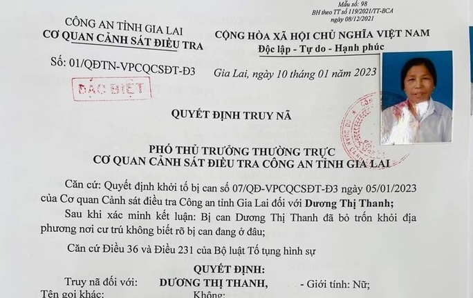 Bắt cụ bà 73 tuổi vay mượn gần 14 tỷ đồng rồi bỏ trốn