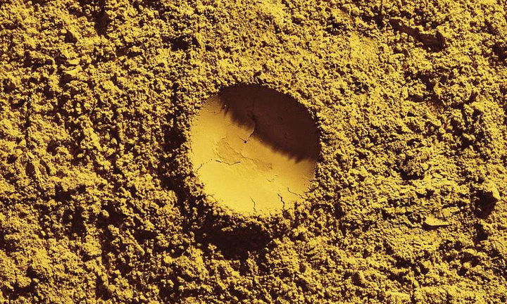 Công nghệ tạo ra thức ăn từ không khí, nước, điện và vi khuẩn được trình làng tại Singapore