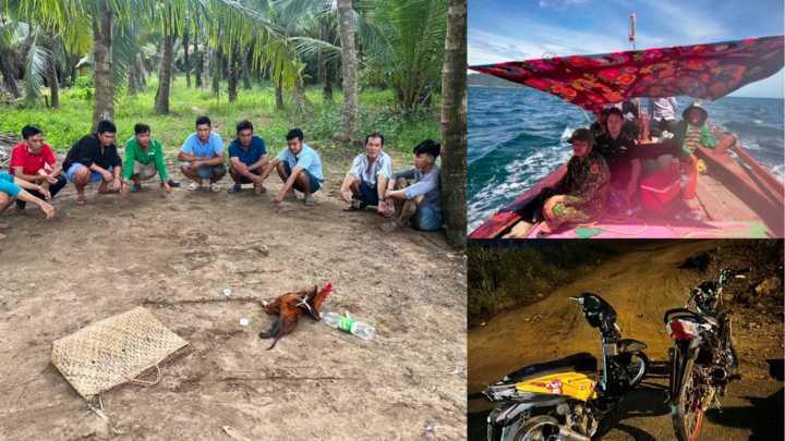 Tin tức pháp luật mới nhất ngày 28/8: Bắt quả tang nhóm đối tượng đá gà ăn tiền trong vườn dừa