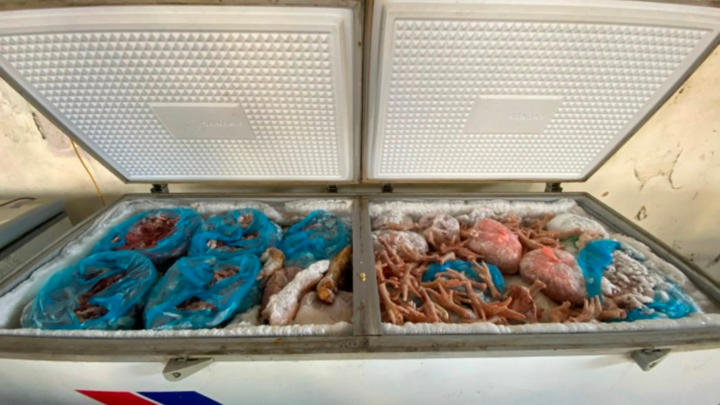 Kinh hoàng hàng tấn thịt heo đông lạnh, có dấu hiệu ôi thiu chờ tiêu thụ ở Thái Nguyên