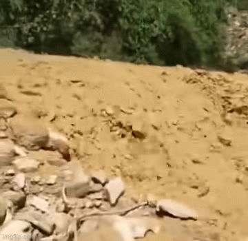 Kinh hoàng cảnh lũ ống đổ ầm ầm như thác từ trên núi xuống ở Nghệ An