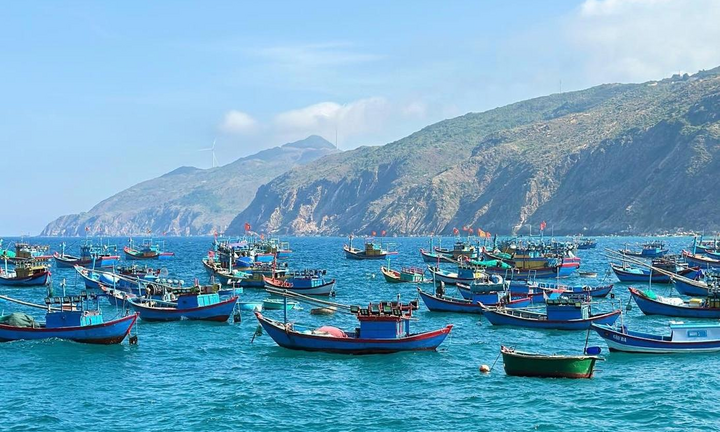 Những điểm đến nổi bật mới của Việt Nam: Ninh Bình, Phú Quý, Tam Đảo lọt danh sách tìm kiếm