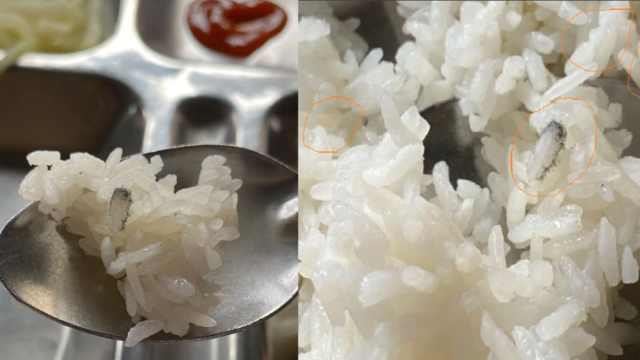 Suất cơm bán trú bị mốc đen, phụ huynh chờ đợi thông báo nguyên nhân từ phía nhà trường cả tuần