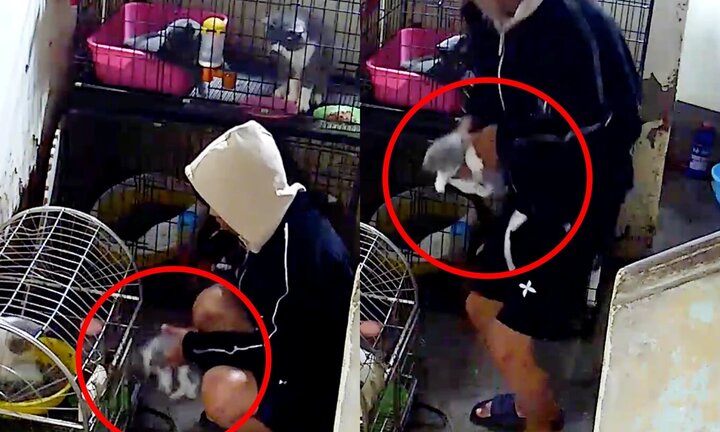 Nam thanh niên bị chủ quán lẩu ếch ở Hà Nội tố đến ăn lẩu rồi