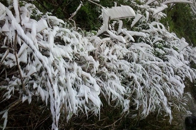 Chuyên gia dự báo: Miền Bắc rét buốt thêm 4 ngày