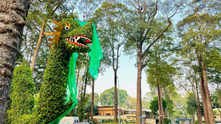 Cư dân mạng xôn xao về cặp rồng