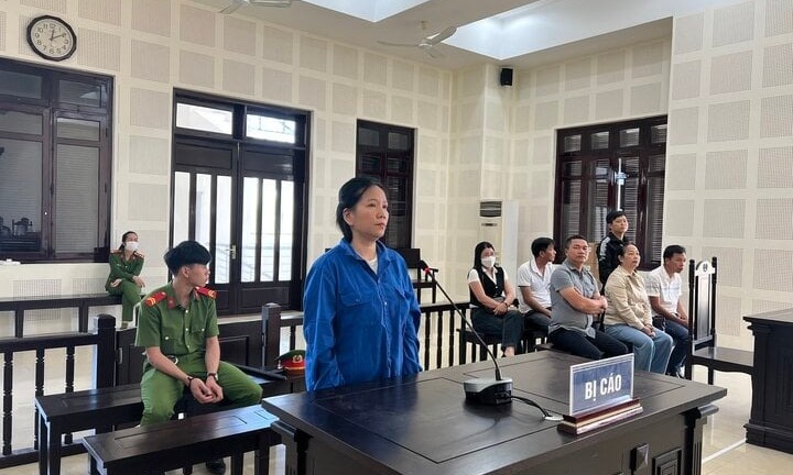 Xét xử nữ quái lừa đảo bán khống đất người khác, chiếm đoạt gần 10 tỷ đồng