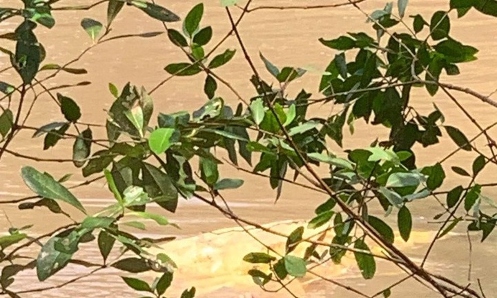 Người dân tá hoả phát hiện thi thể nữ giới trôi trên kênh xáng Bạc Liêu - Cà Mau