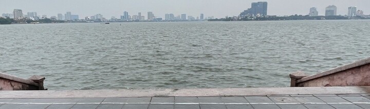 Chuyên gia Nhật Bản nhận định nguyên nhân cá chết hàng loạt tại hồ Tây