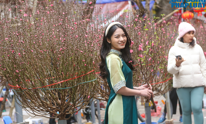 Chợ hoa truyền thống Hàng Lược nhộn nhịp trong những ngày cận Tết 