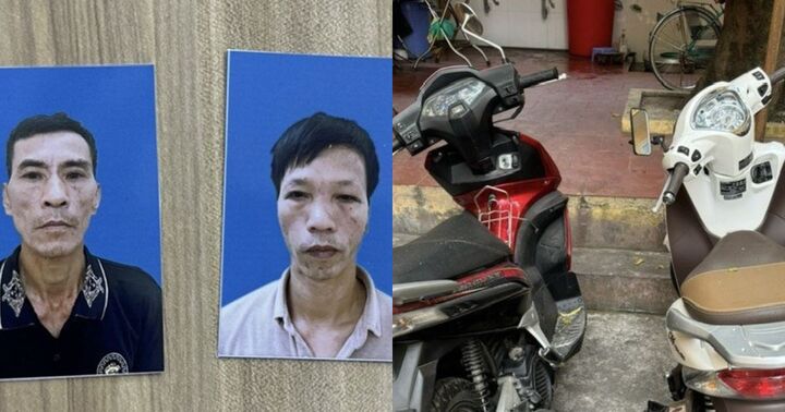 Hải Phòng: Triệt phá ổ nhóm trộm cắp tài sản chuyên nghiệp