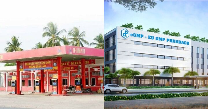 Thấy gì từ các khoản phải thu liên quan tới Hải Hà Petro tại Pharbaco?