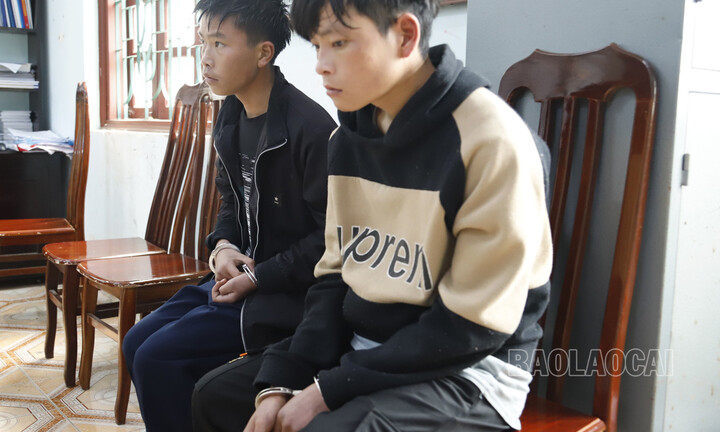 Công an Lào Cai bắt giữ 2 đối tượng trộm cắp tài sản