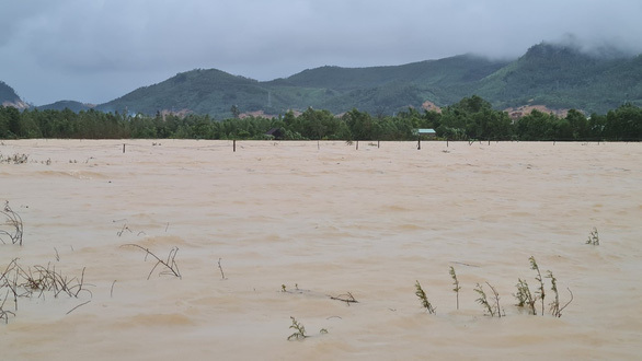 Bình Định: Nước lũ lên nhanh, hàng trăm căn nhà bị ngập sâu 1m