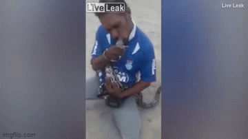 Video: Trăn khủng 