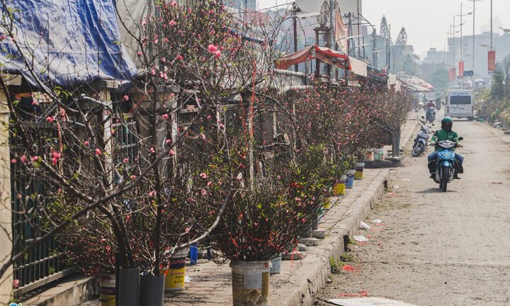 Tin tức thời sự mới nóng nhất 15/1: Nên bỏ hoạt động chúc Tết để hạn chế lây lan dịch COVID-19