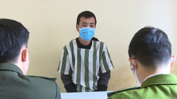 Hơn 1.600 người sập bẫy web đầu tư tài chính nuôi cá koi, săn kim cương