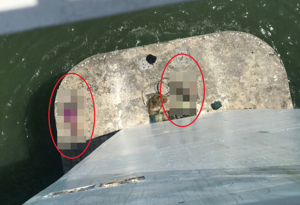 Đà Nẵng: Hoảng hồn phát hiện 2 thi thể dưới mố cầu 