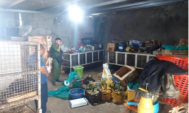 Tin thời sự mới nóng nhất 4/7: Phát hiện nhiều động vật hoang dã trong nhà dân ở Kon Tum
