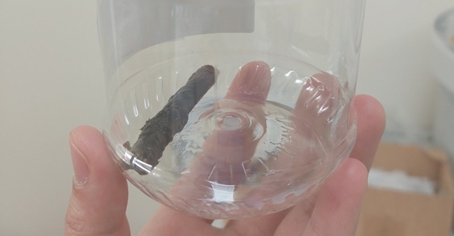 Chung sống với cành cây dài gần 7cm đâm xuyên phổi, nam thanh niên ho ra máu suốt 14 năm 