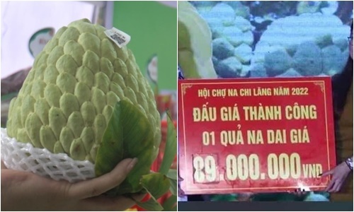 Cận cảnh quả na dai ở Lạng Sơn được đấu giá 89 triệu đồng