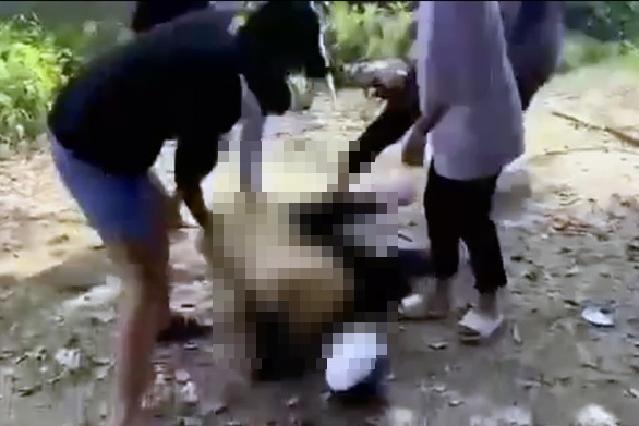 Đồng Nai: Xác minh clip nữ sinh bị đánh, lột đồ giữa đường