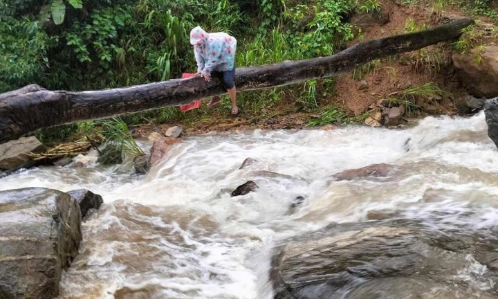 Quặn lòng cảnh cô giáo vùng cao bất chấp nguy hiểm, bám thân cây vượt suối để đến lớp 