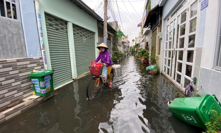 Tin thời sự mới nóng nhất 6/11: 1 phường ở TP.HCM bị nước ngập hôi thối bủa vây suốt tuần qua