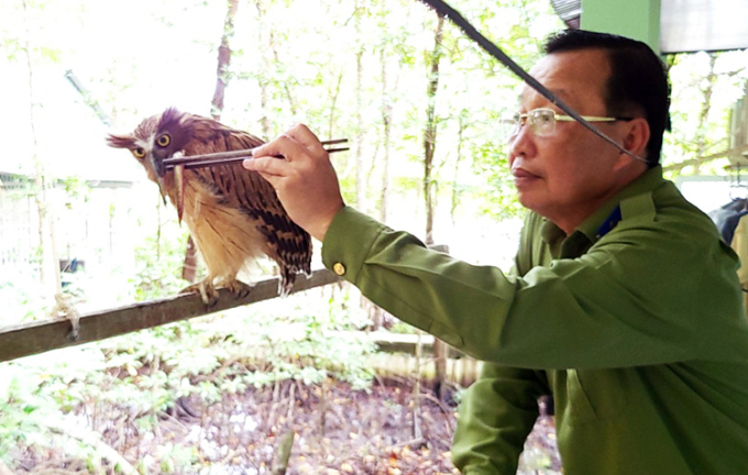 Tin thời sự mới nóng nhất 10/12: Chim cú cá quý hiếm xuất hiện ở rừng Cà Mau
