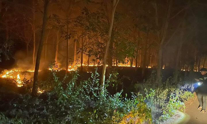 Nhóm thanh thiếu niên dùng bom xăng đốt rừng cao su để