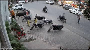 Video: Hoảng hồn cảnh người đàn ông bị bò húc tung lên không trung 