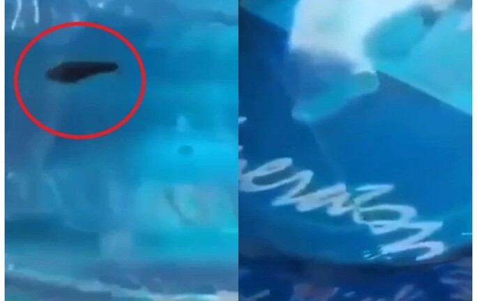 Vụ phát hiện đỉa bơi trong bình nước còn nguyên tem: Diễn biến mới nhất