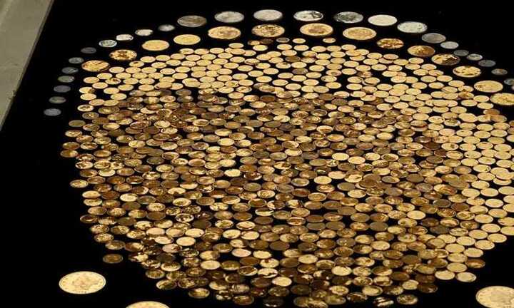 Đi làm ruộng, người nông dân tìm thấy khó báu tiền tỷ