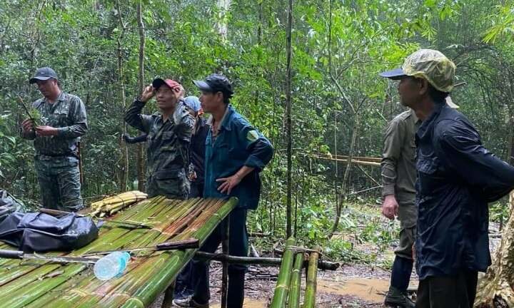 Tìm kiếm người đàn ông đi lạc nhiều ngày trong vườn Quốc gia Cát Tiên 