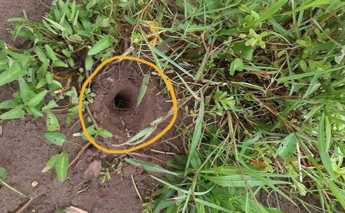 Tin tức thời sự mới nóng nhất hôm nay 29/5: Hàng trăm ngôi mộ bị đục lỗ ở Thái Bình
