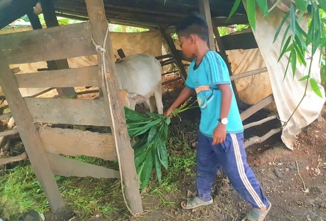 Nghi vấn học sinh bị