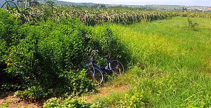 Tin tức thời sự mới nóng nhất hôm nay 23/6: Phát hiện thi thể đang phân hủy dưới mương nước