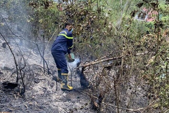 Nghệ An: Vứt tàn thuốc lá bừa bãi, người đàn ông khiến rừng phòng hộ cháy trơ trụi