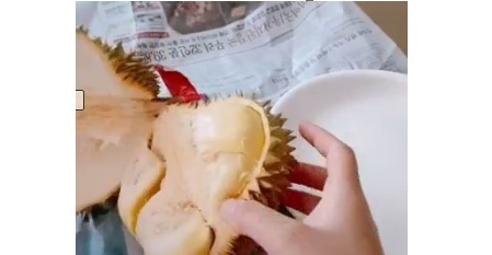Khoe quả sầu riêng ăm ắp múi chỉ có 