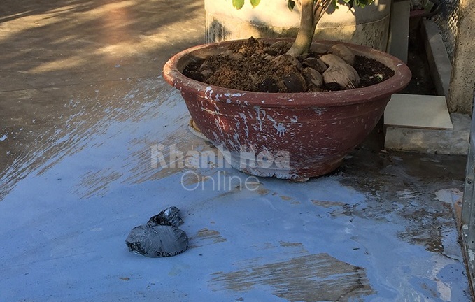 Tin tức thời sự mới nóng nhất hôm nay 29/7: Bí thư xã bị kẻ lạ mặt tạt sơn, mắm tôm vào nhà