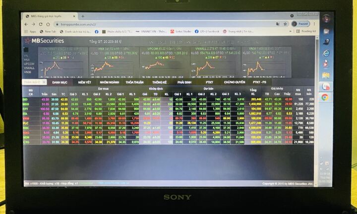 Nhóm cổ phiếu chứng khoán, than, cảng biển đua nhau tăng trần trong phiên đầu tuần