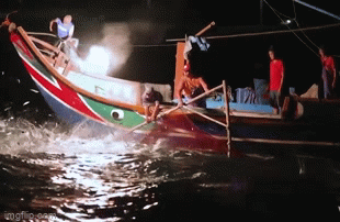 Video: Ngư dân đốt lửa đánh bắt cá mòi trên biển