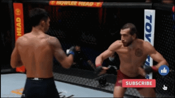 Video: Võ sĩ MMA xoay 180 độ, tung cú đá cầu vồng hạ knock- out đối thủ