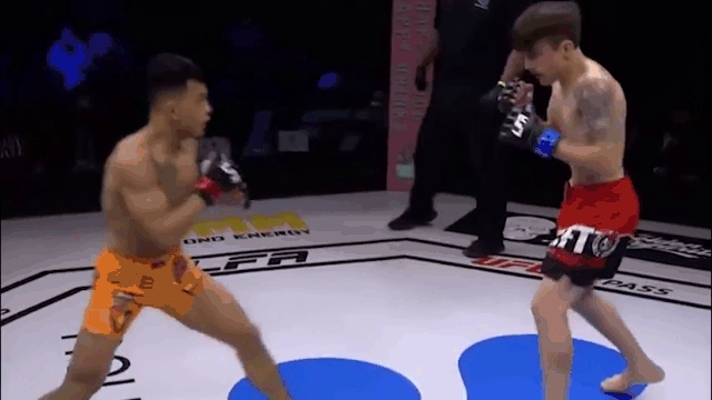 Video: Tung cú đấm xoay mãn nhãn, võ sĩ gốc Việt hạ knock-out đối thủ