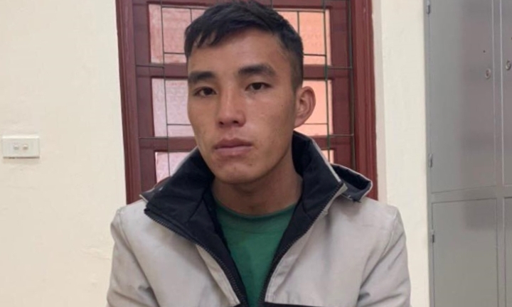 Lào Cai: Bắt khẩn cấp 